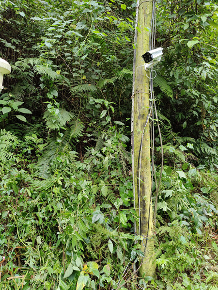 成都萬全電子|萬全電子|成都高溫橙色預(yù)警|戶外監(jiān)控?cái)z像頭安裝 成都萬全電子|萬全電子|成都高溫橙色預(yù)警|戶外監(jiān)控?cái)z像頭安裝