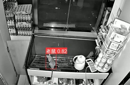 AI智能監(jiān)控算法推出新算法，老鼠再也無處可逃