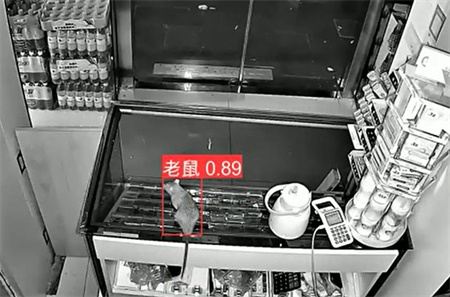 AI視頻監(jiān)控能拍到老鼠？老鼠監(jiān)控算法說(shuō)可以