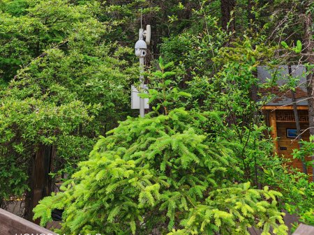 AI視頻監(jiān)控系統(tǒng)在景區(qū)監(jiān)控系統(tǒng)中的實(shí)際應(yīng)用