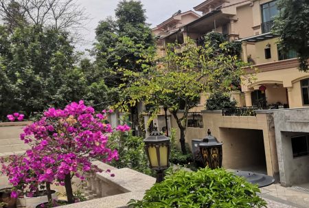 小區(qū)屢被&ldquo;光顧&rdquo;，居家安全小區(qū)安防請(qǐng)多加重視