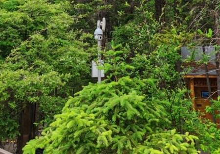 風(fēng)景區(qū)內(nèi)AI視頻分析報警系統(tǒng)有用嗎