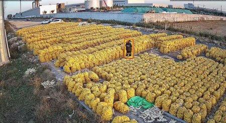  AI智能視頻監(jiān)控：革新安全管理，賦能多領(lǐng)域?qū)嶋H應(yīng)用